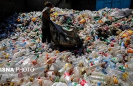 نابودی زباله‌های پلاستیکی با تقویت یک آنزیم طبیعی