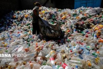 نابودی زباله‌های پلاستیکی با تقویت یک آنزیم طبیعی